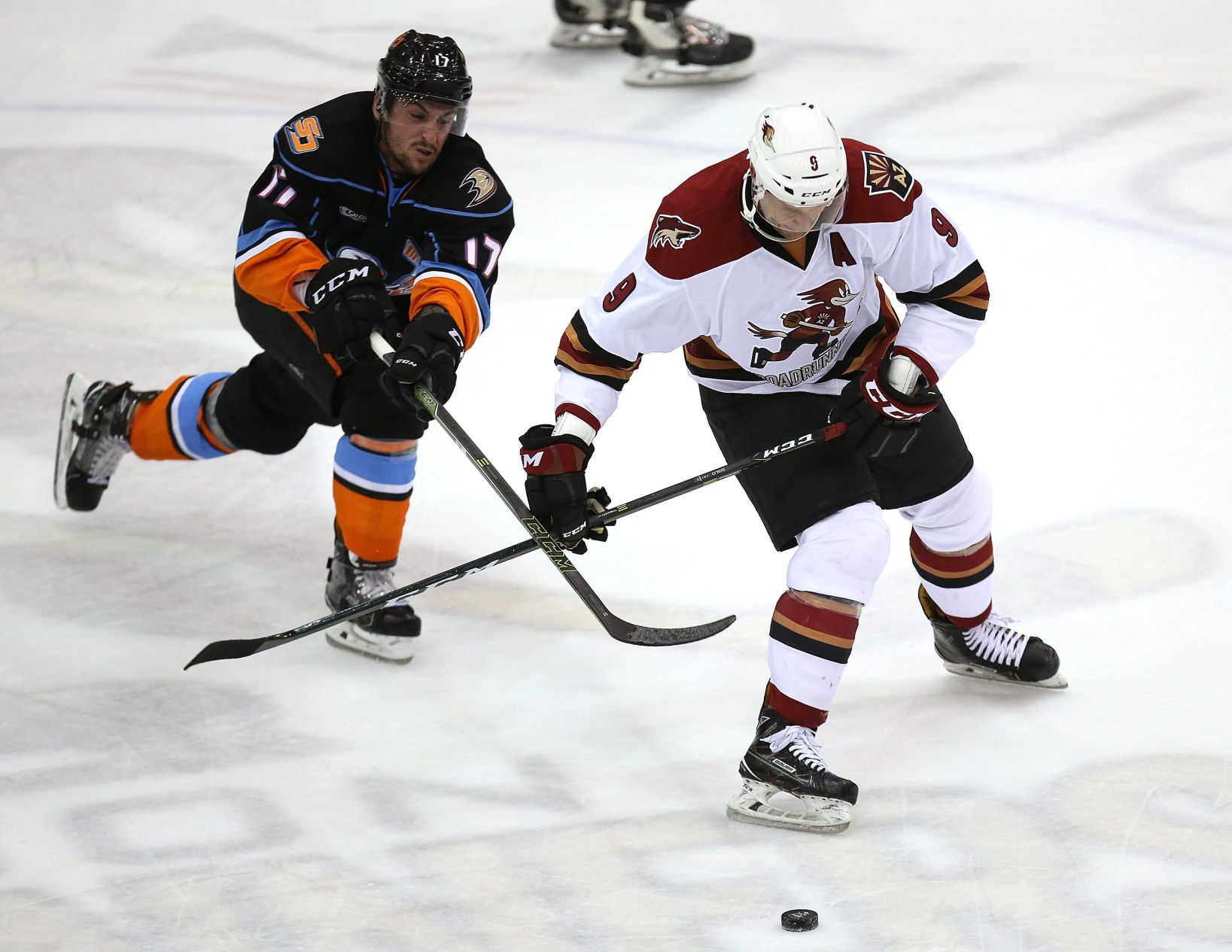 Tucson Roadrunners vs. San Diego Gulls AHL hockey